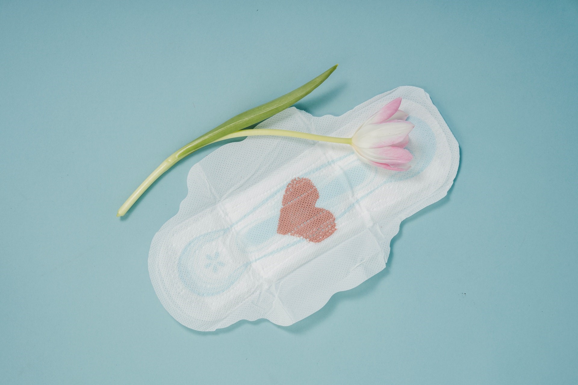 A Guide to Menstruation: How It Happens